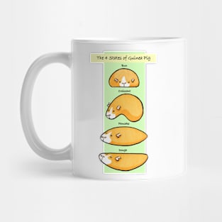 The 4 States of Guinea Pig Mug